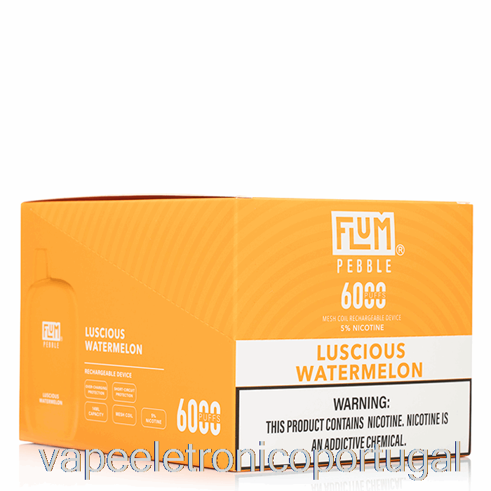 Vape Eletrônico [pacote Com 10] Flum Seixo 6000 Descartável